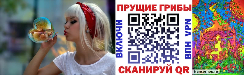 Псилоцибиновые грибы GOLDEN TEACHER  Купить закладки  Славянск-на-Кубани 
